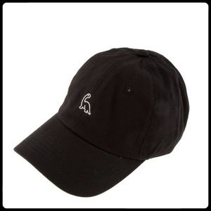 Brand new Dino Hat